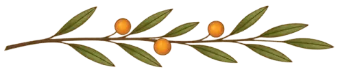 Gumby Gumby botanical divider